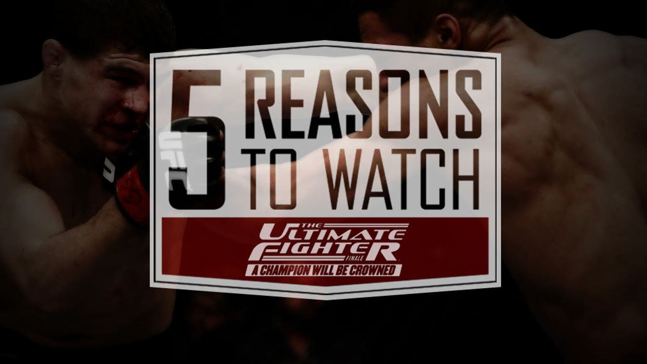 5 Reasons to Watch The Ultimate Fighter Finale